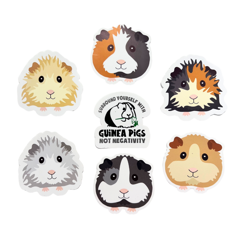 Guinea Pig Sticker Pack